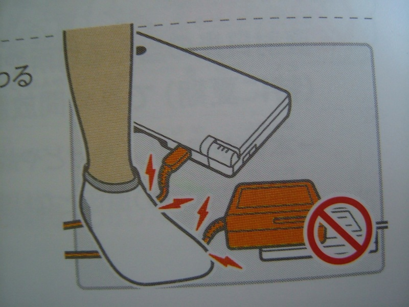 Illustration for article titled Hey Dummy, Don't Microwave The DSi (And Other Nintendo Tips)